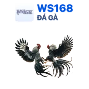 Cá cược thể thao khác hello88 vina